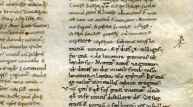 Common but not Ordinary: The Leiden Dioscorides Examined