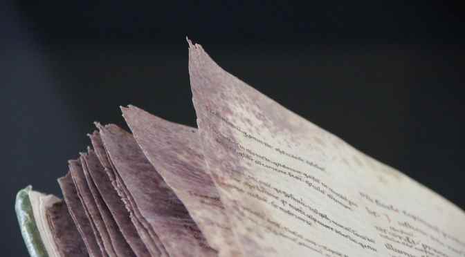 The Beauty of the Injured Book