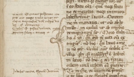 image of an octopus drawn in a book margin with the legs stretching so as to indicate an important passage of several lines