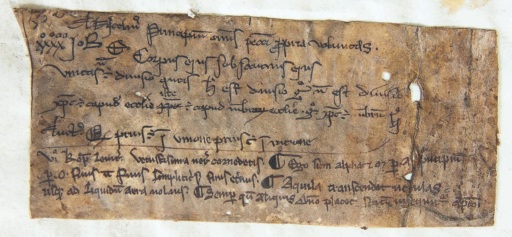 Leiden, University Library, BPL 191 D, fragment (France, 13th century) - Photo Giulio Menna
